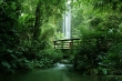 iStock_000000709299Small_NEU_Urwald_Brücke.jpg