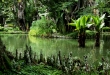 iStock_000002869395Small_Urlaub.jpg